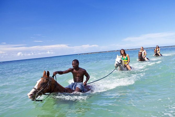Beach Horseback Riding and Dunn’s River Falls - Swimming bareback in the Caribbean Sea