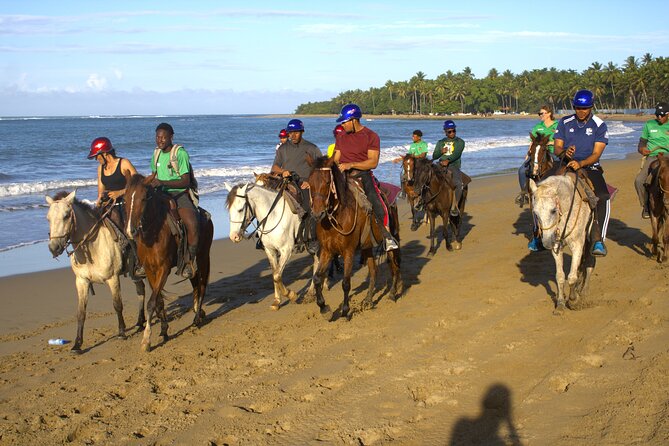 Beach Horseback Riding and Swim Horse in Puerto Plata - What the one-hour trail ride is really like