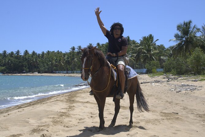 Beach Horseback Riding and Swim Horse in Puerto Plata - Who will enjoy this horseback ride most