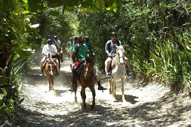 Beach Horseback Riding and Swim Horse in Puerto Plata - What the strong feedback tells you