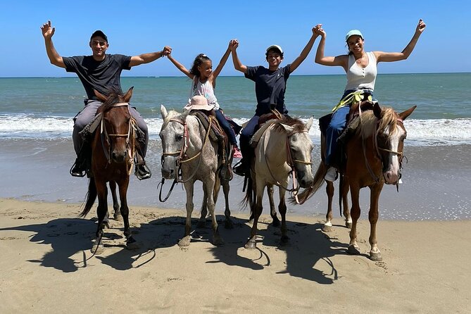 Beach Horseback Riding and Swim Horse in Puerto Plata - Should you book the Puerto Plata horse ride?