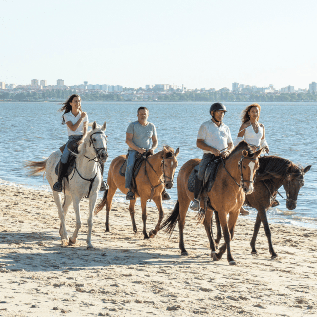 Beach Horseback Riding in GROUP + Photo Report - PDT - What Happens at Pátio do Tejo