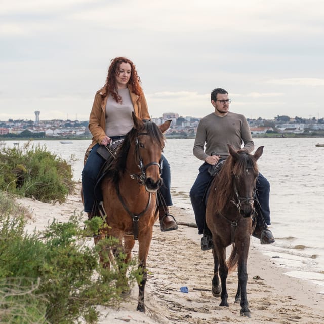 Beach Horseback Riding in GROUP + Photo Report - PDT - Why the Tide Controls the Schedule