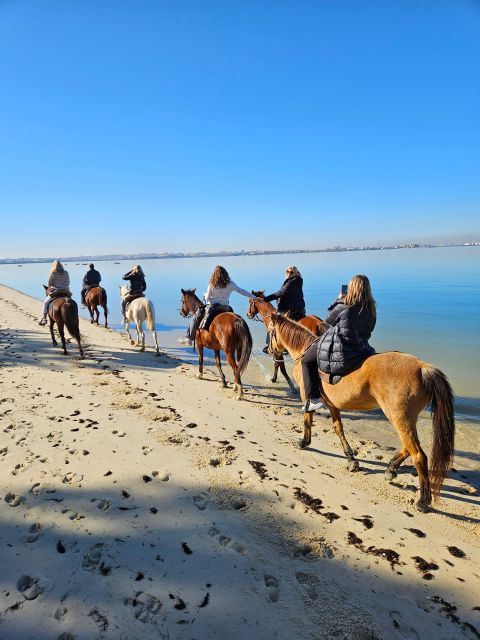 Beach Horseback Riding in GROUP + Photo Report - PDT - Practical Planning for Your Visit