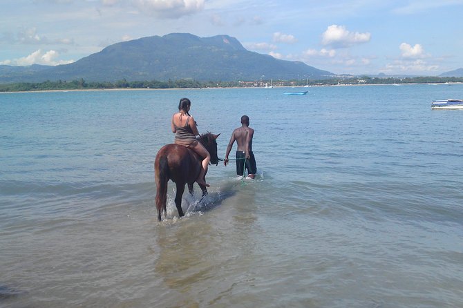 Beach Horseback Riding in Puerto Plata - Who will enjoy this most