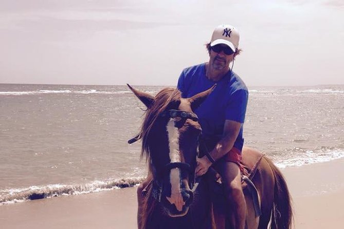 Beach Horseback Riding in Puerto Plata - Gentle horses and patient instruction