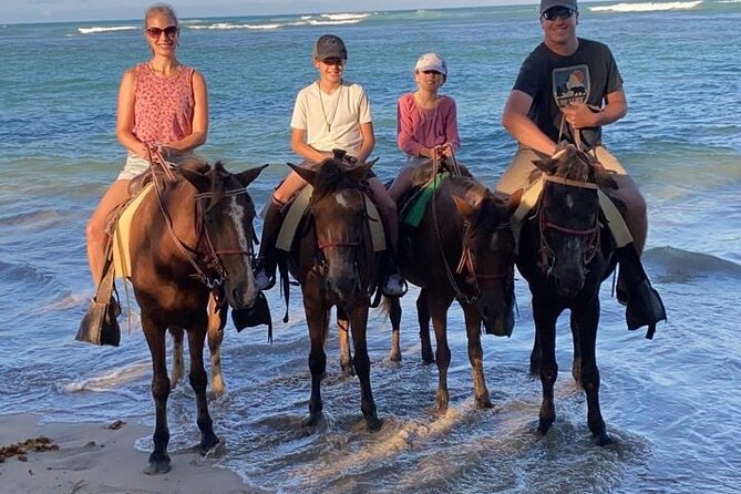 Beach Sunset Horseback Ride in Punta Cana - Beach, palm grove, and the short rest stop