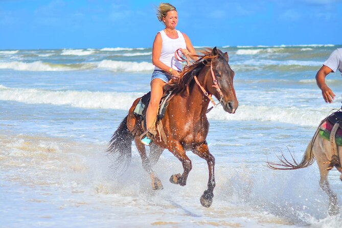 Beach Sunset on Horse Riding in Punta Cana(Private Option) - Key points at a glance