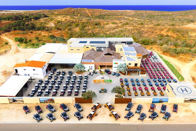 Beach UTV Adventure with Free Camel and Horseback Ride - A relaxed horseback hour with quarter horses