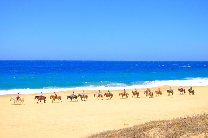 Beach UTV and Horseback Riding in Cabo - Who will enjoy this outing most