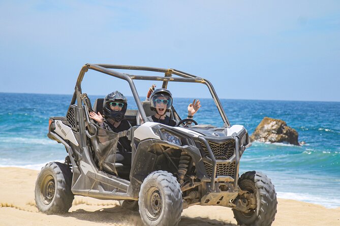 Beach UTV and Horseback Riding in Cabo - Meeting the horses beside the Pacific