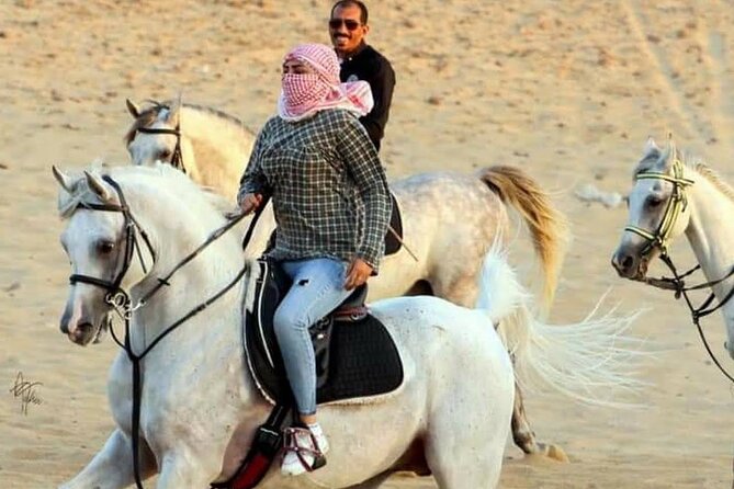 Bedouin Dinner, Egyptian Show and Horse Ride tour 1 Hour - Sharm El Sheikh - Key points at a glance