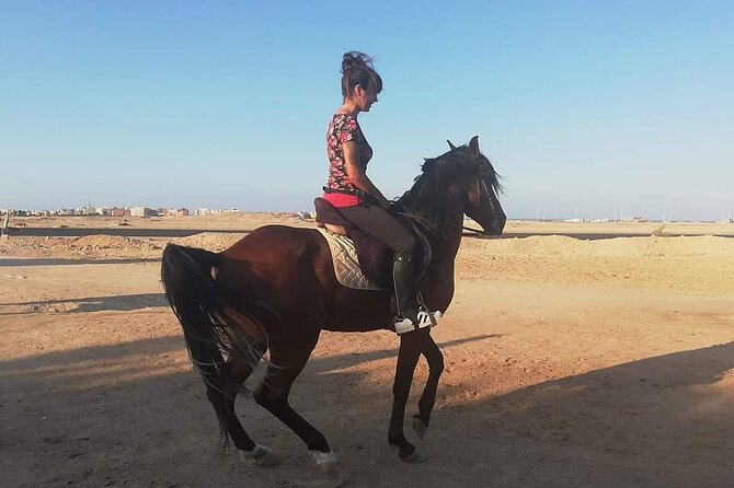 Bedouin Dinner, Egyptian Show and Horse Ride tour 1 Hour - Sharm El Sheikh - A 4 pm departure from Sharm El Sheikh