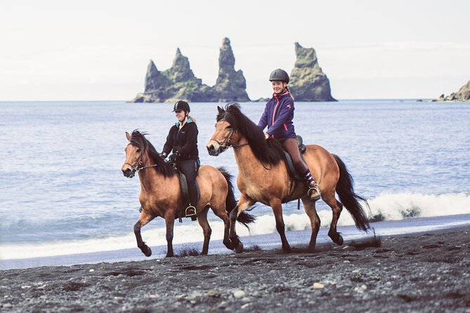 Black Sand Beach Horse Riding Tour from Vik - The Icelandic horse makes the difference