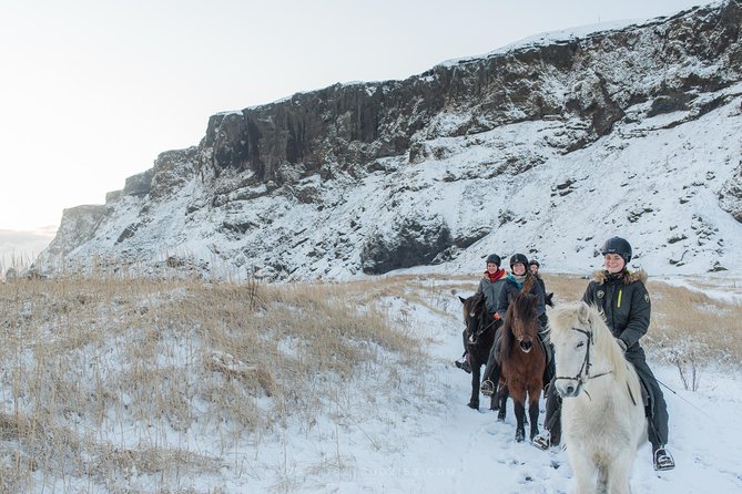 Black Sand Beach Horse Riding Tour from Vik - A realistic one-hour schedule