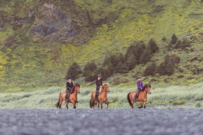 Black Sand Beach Horse Riding Tour from Vik - Price and overall value at $133.02