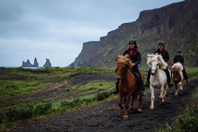 Black Sand Beach Horse Riding Tour from Vik - What the guides add to the experience