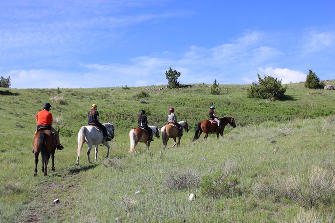 Blue Flower Trail Ride - Wildlife, Crow history, and the mountain setting