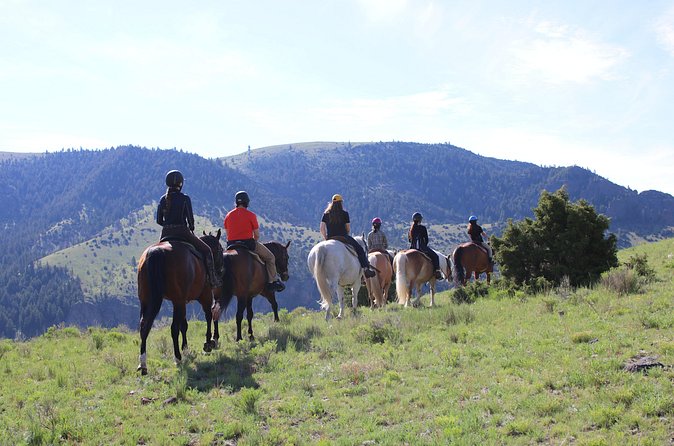 Blue Flower Trail Ride - Is $135 a fair price?