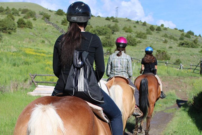 Blue Flower Trail Ride - What the two-hour ride feels like