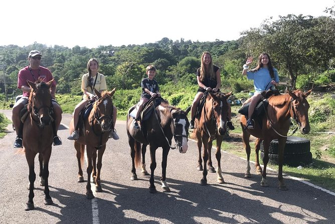Blue hole waterfalls + horseback riding combo tour from Ocho Rios - From Ocho Rios to the Jamaican coast