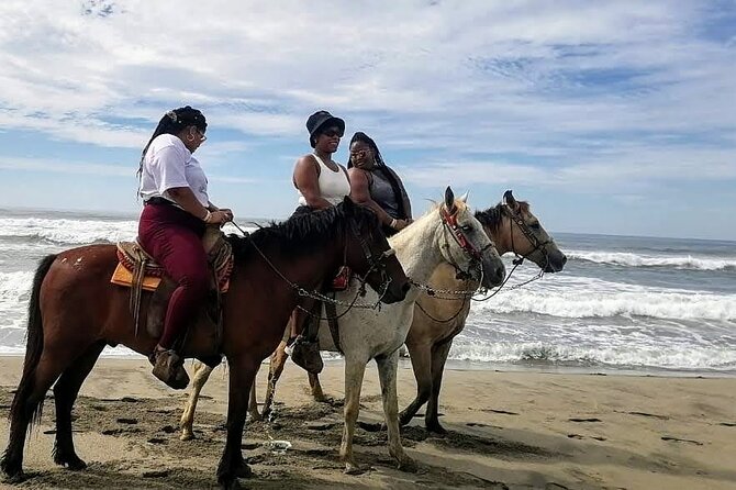 Boat Ride-Gentle Beach Beach Horseback Ride+Lunch-Crocs-Turtles - Crocodiles and turtles with a local lesson