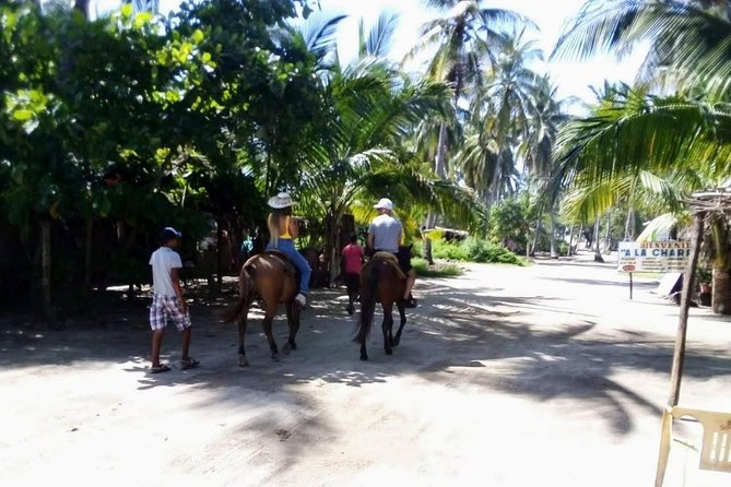 Boat Ride-Gentle Beach Beach Horseback Ride+Lunch-Crocs-Turtles - Who will enjoy this day most?