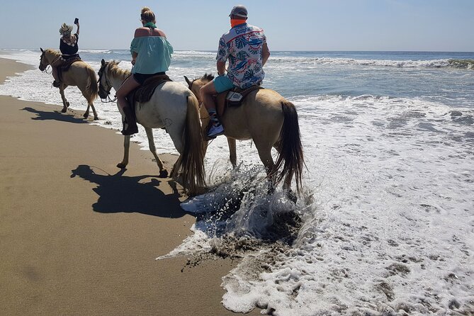 Boat Ride-Gentle Beach Beach Horseback Ride+Lunch-Crocs-Turtles - One hour on the lagoon