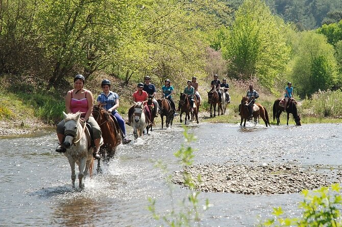Bodrum Horse Riding Experience w/ Hotel Transfer Service - Leaving Bodrum for the ranch