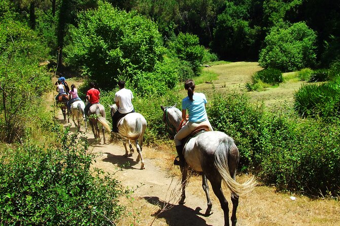 Bodrum Horse Riding Experience w/ Hotel Transfer Service - Riding through pine woods and orange groves
