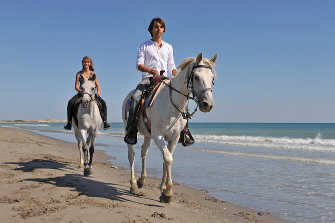 Bodrum Horseback Riding Experience with Hotel Transfer - Riding from Bodrum’s pine country toward the sea