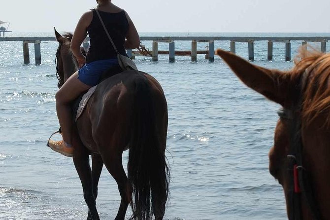 Bodrum Horseback Riding Experience with Hotel Transfer - Who will enjoy this Bodrum horseback ride