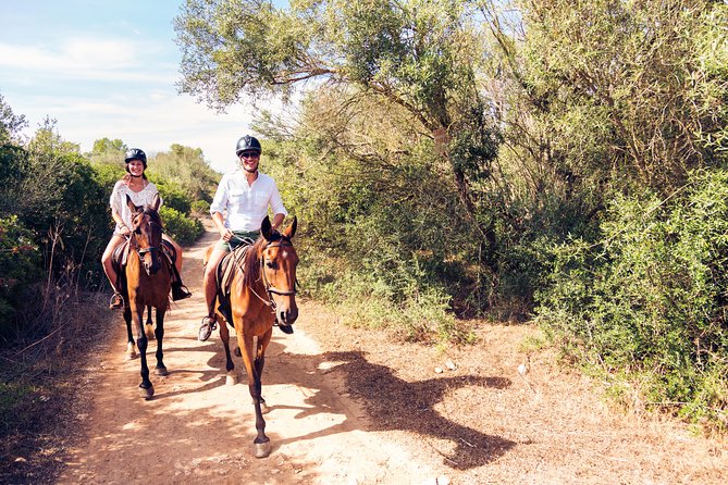 Bodrum Horseback Riding Experience with Hotel Transfer - Small details that make the ride more comfortable