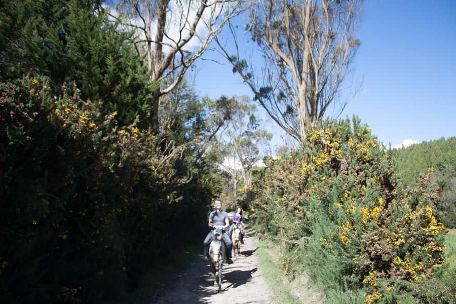 Bogota: Horseback Riding Tour - Key points at a glance