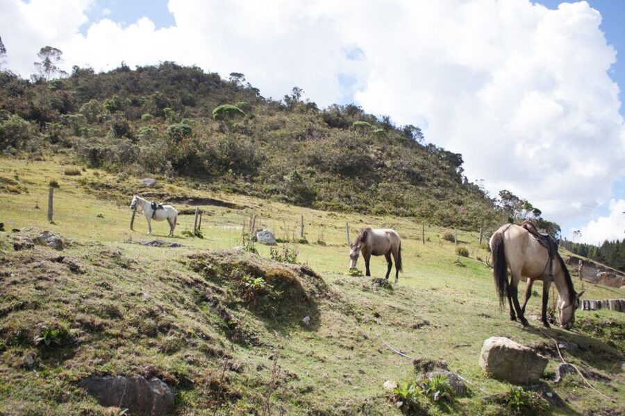 Bogota: Horseback Riding Tour - Practical preparation for the morning
