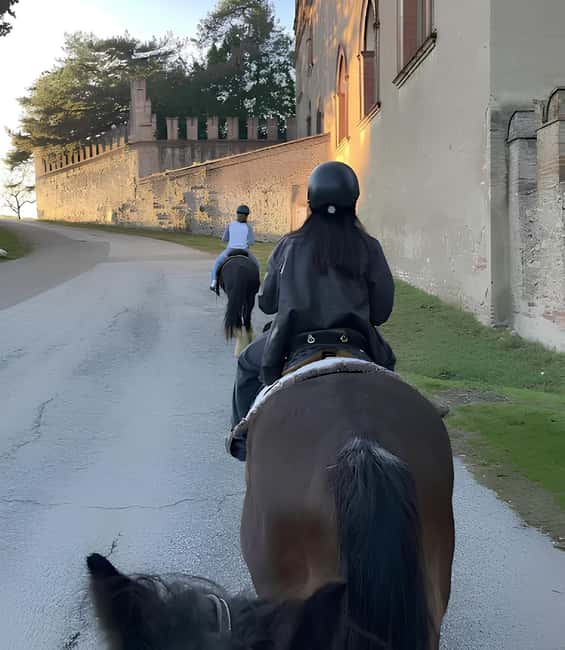 Bologna: Horseback Ride in the Bolognese Hills - Your first few minutes with the horse