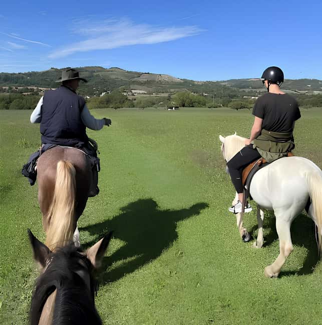 Bologna: Horseback Ride in the Bolognese Hills - Horses, pace, and the role of the guide