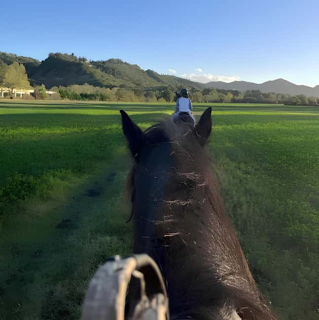 Bologna: Horseback Ride in the Bolognese Hills - Who should book this ride?