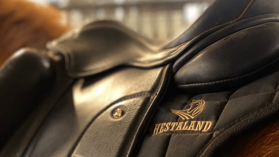 Borgarnes: Horseback Riding Tour with Prep Lesson - Quick take on the Hestaland ride