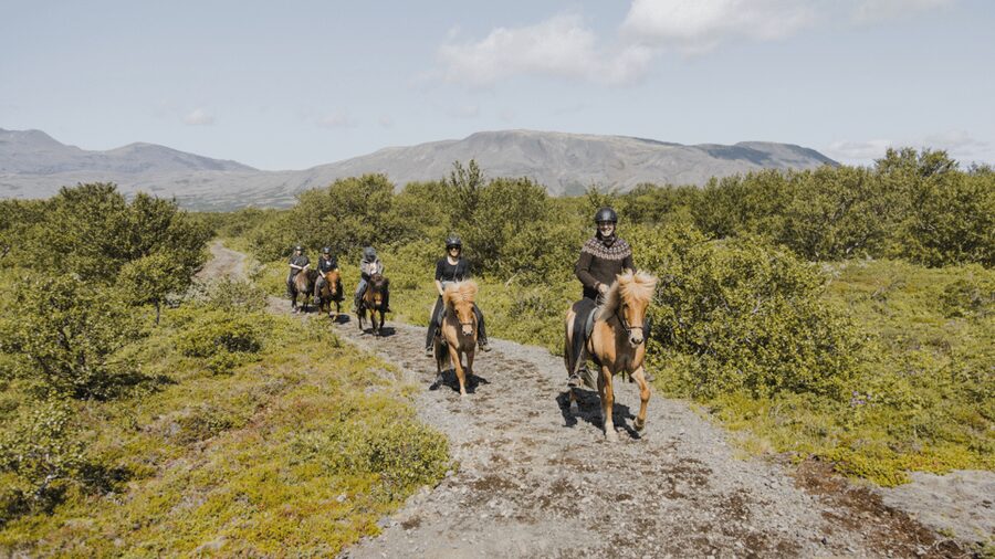 Borgarnes: Horseback Riding Tour with Prep Lesson - Why the indoor lesson matters