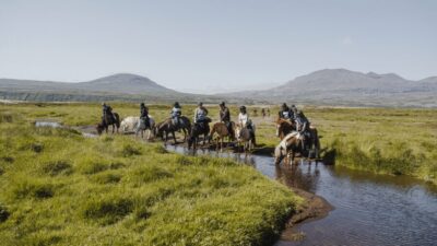 Borgarnes: Horseback Riding Tour with Prep Lesson