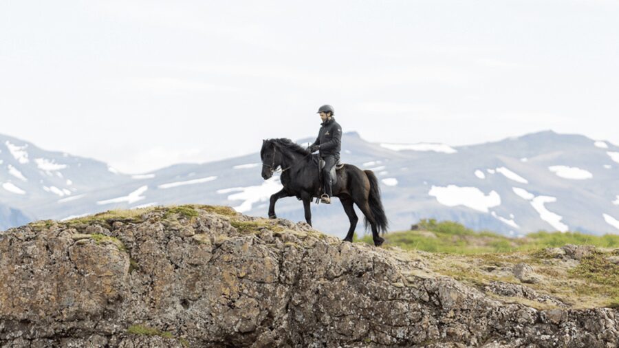 Borgarnes: Horseback Riding Tour with Prep Lesson - Who will enjoy this most?