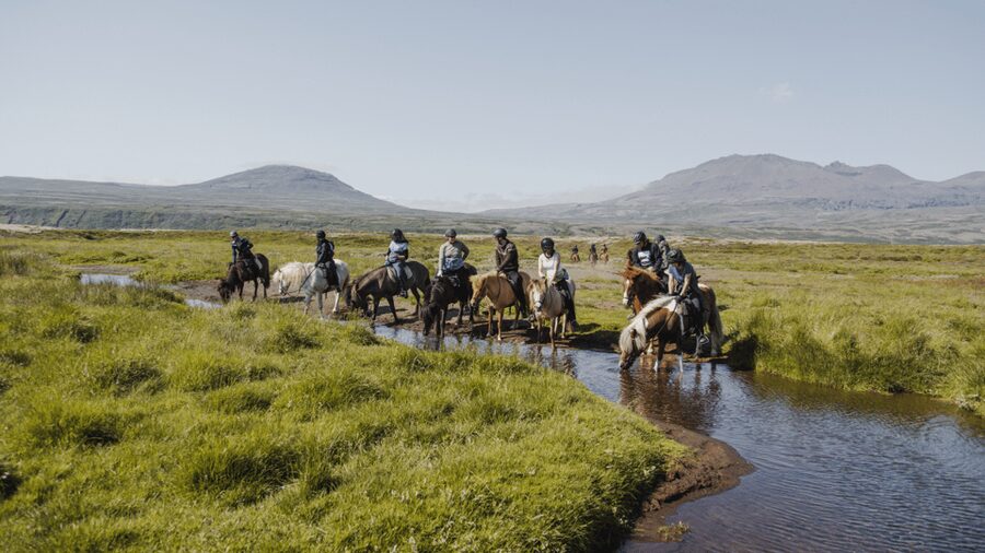 Borgarnes: Horseback Riding Tour with Prep Lesson - What happens during the 1.5-hour visit