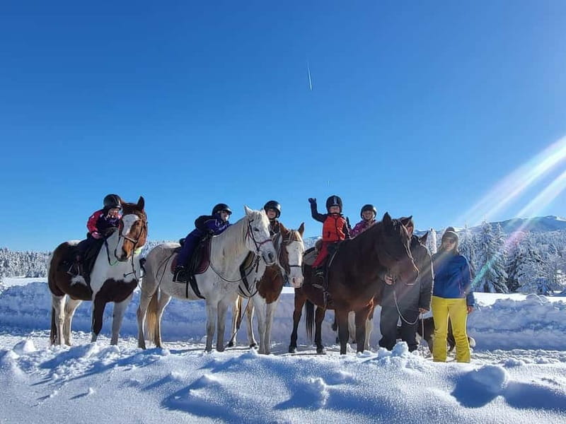 Borovets: Horse Riding Experience - Key points to know before you book