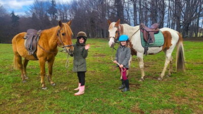 Borovets: Horse Riding Experience