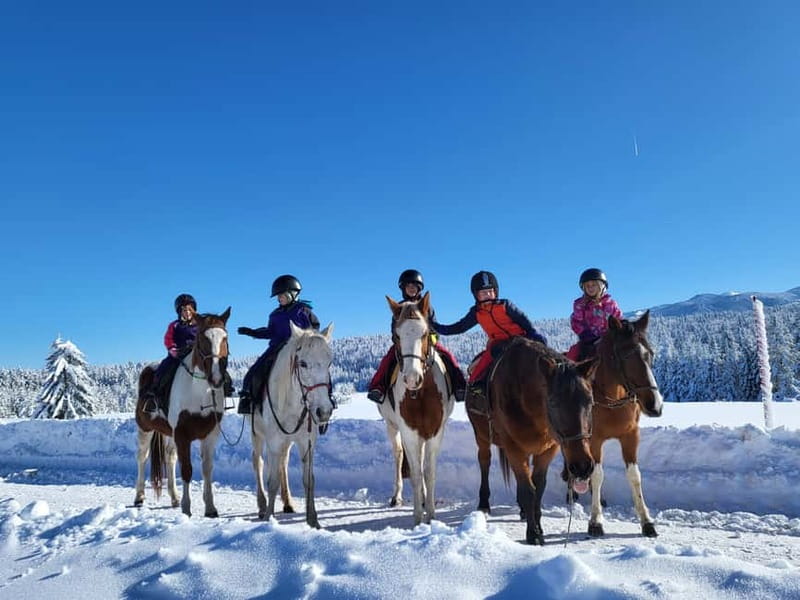 Borovets: Horse Riding Experience - The small group makes a real difference