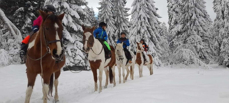 Borovets: Horse Riding Experience - Practical preparation for the 90-minute outing