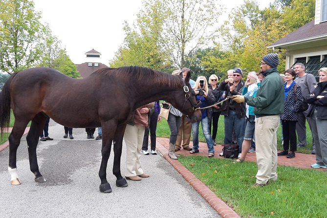 Bourbon Distillery & Horse Farm Tours - Who will get the most from this tour?