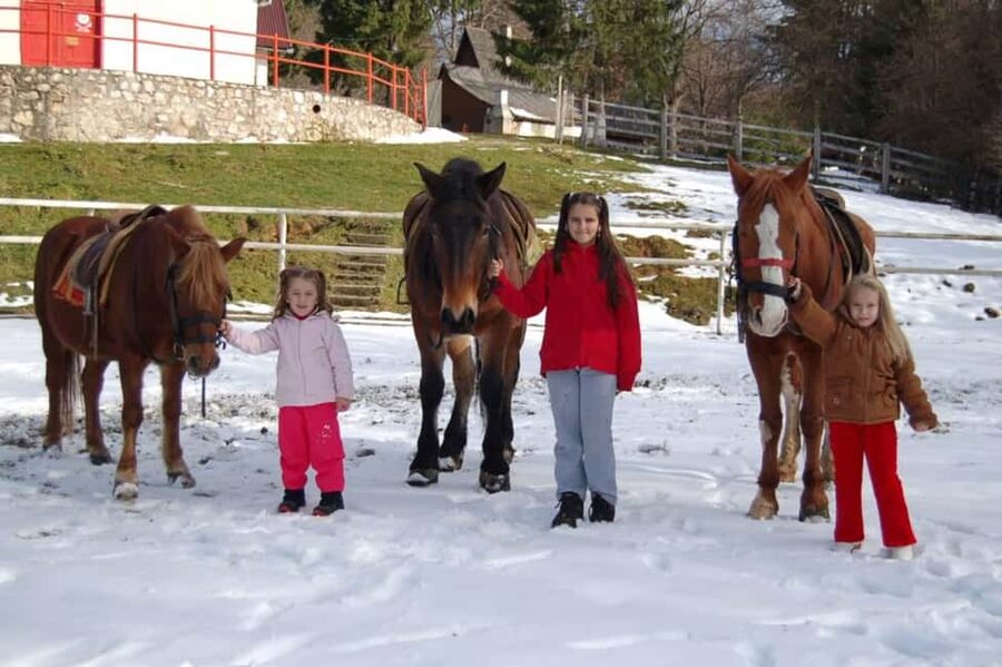 Brașov: Horseback Riding Experience - Key points to know before you book