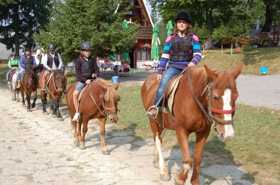 Brașov: Horseback Riding Experience - One hour through the Transylvanian forest
